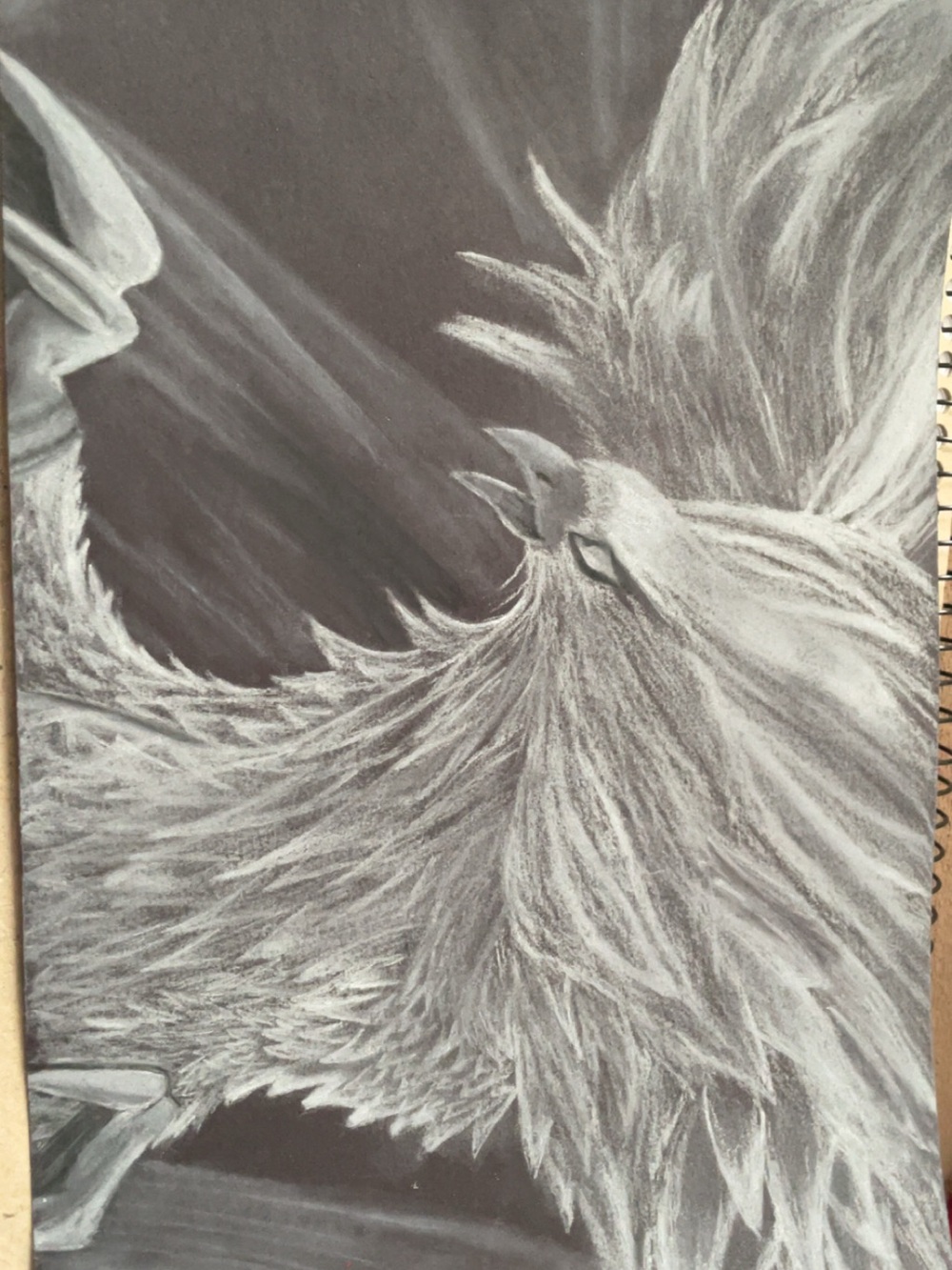 Original Award Winning Phoenix Bird Charcoal Art White Charcoal, Drawing